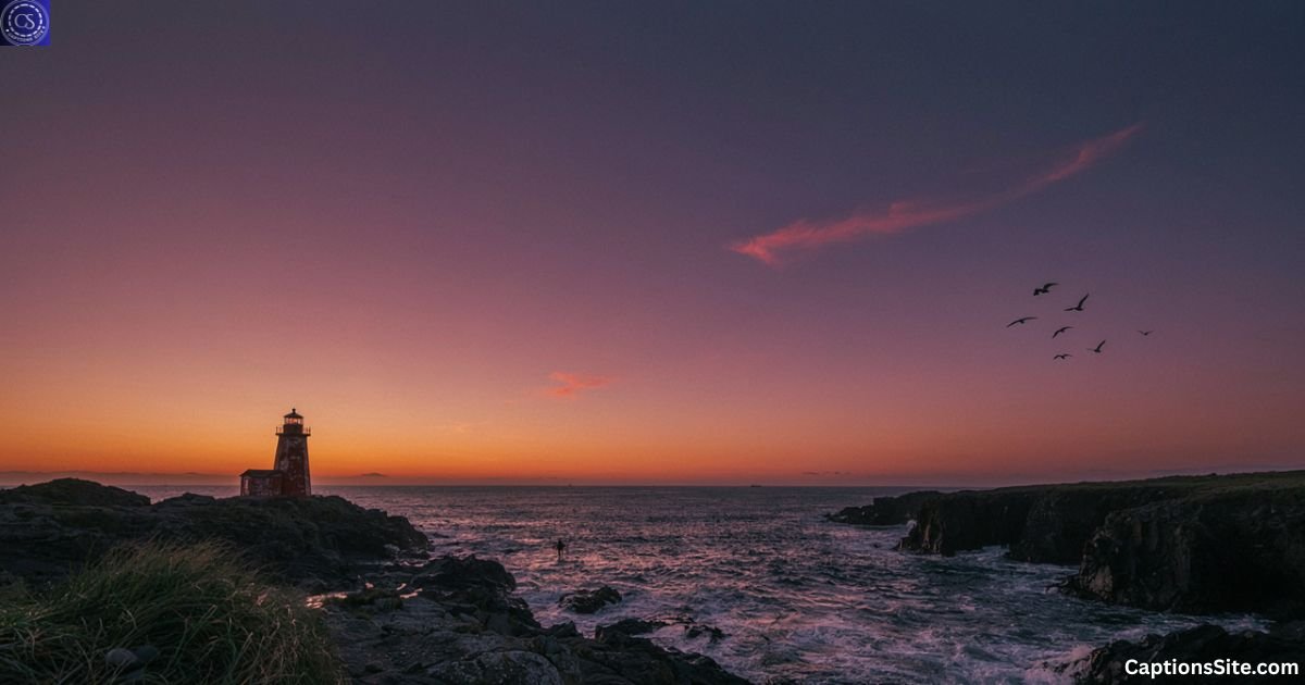 150+ Outing Captions for Instagram for Your Next Trip 